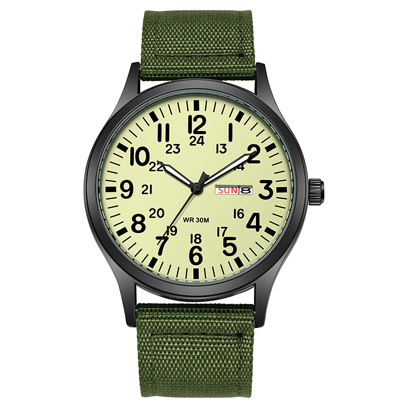 2024 TPW Field Watch Easy Read - đánh giá và giá Solar Powered Watch