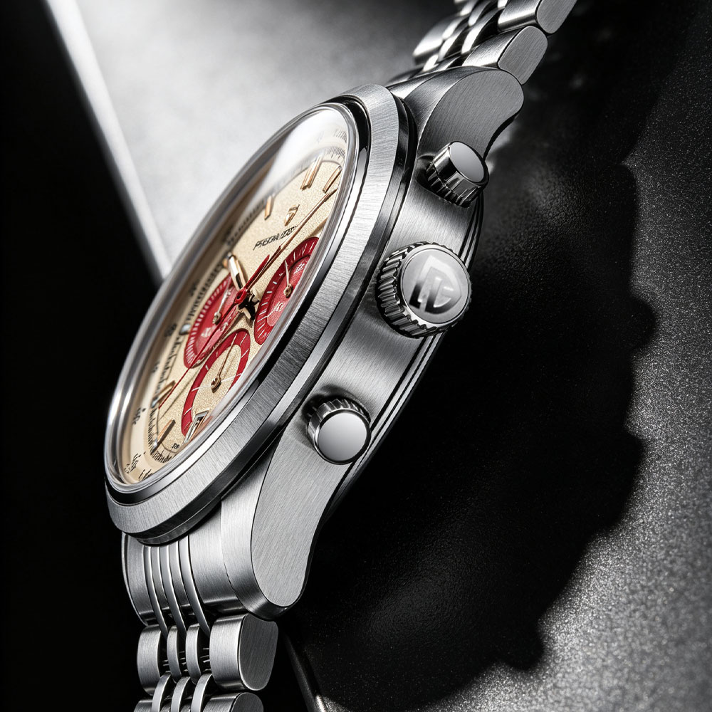 PAGANI DESIGN New Men Watch Lu - đánh giá và giá Chronograph Sport Watch