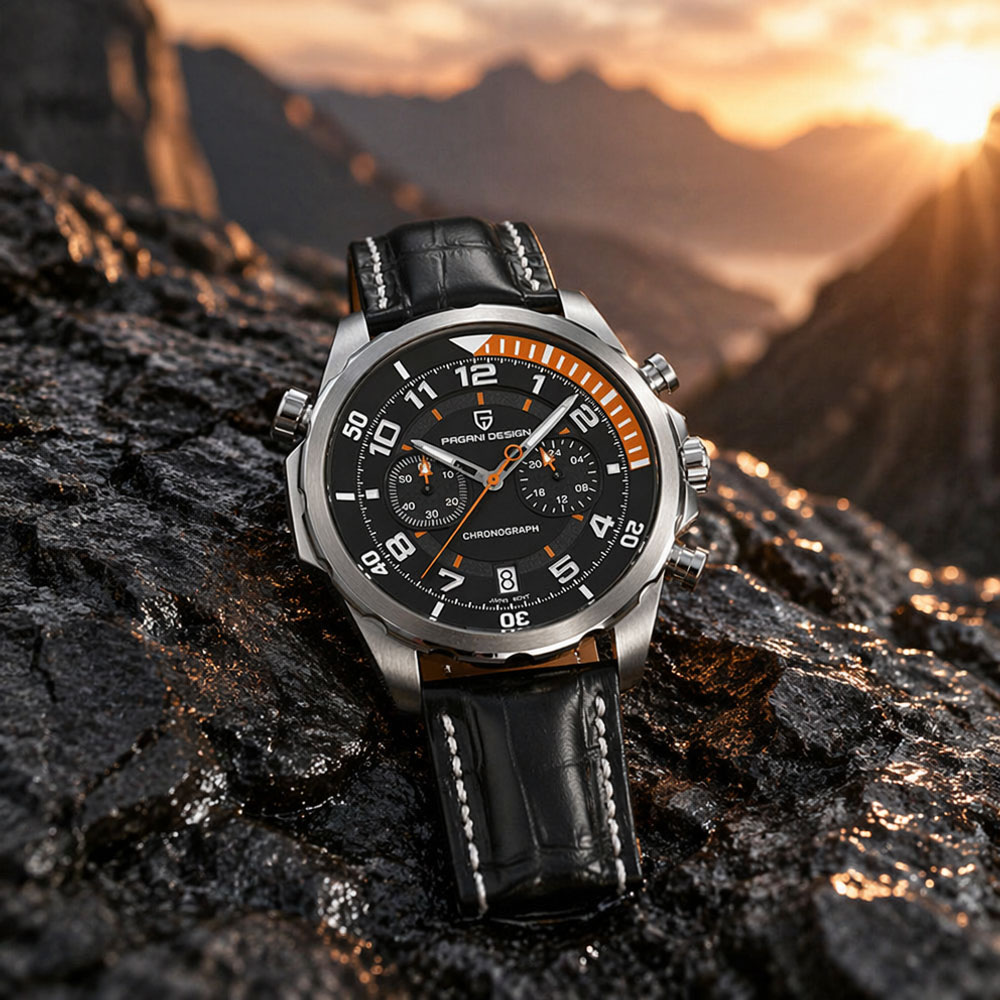 PAGANI DESIGN Classic Leather  - đánh giá và giá Chronograph Sport Watch